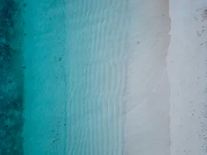 transition