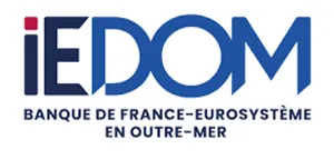 logo-iedom